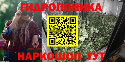 тгк Будённовск