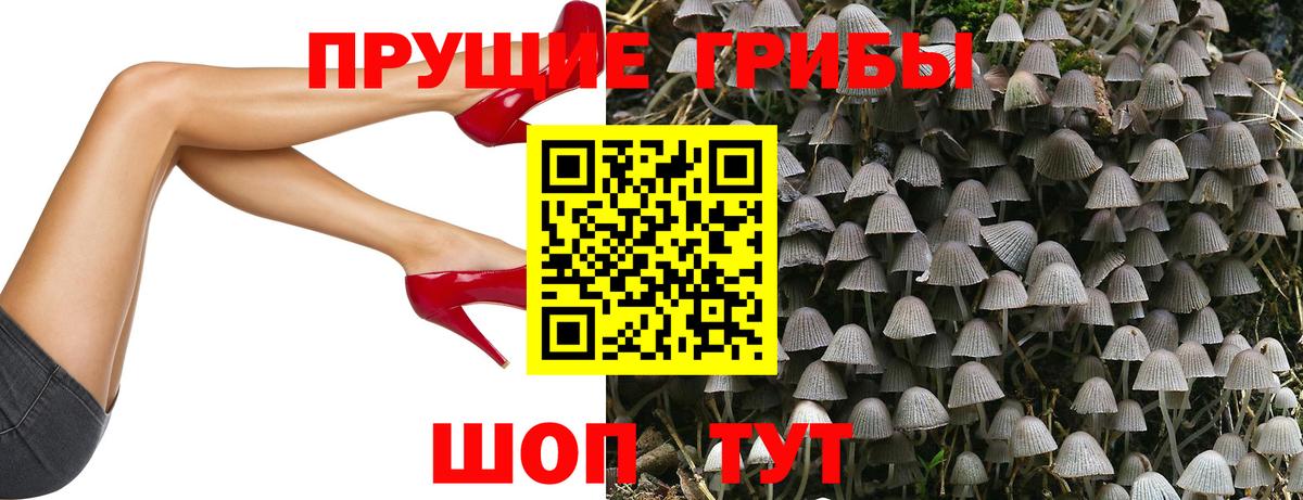 Псилоцибиновые грибы Psilocybe  Вход с VPN  Уссурийск 