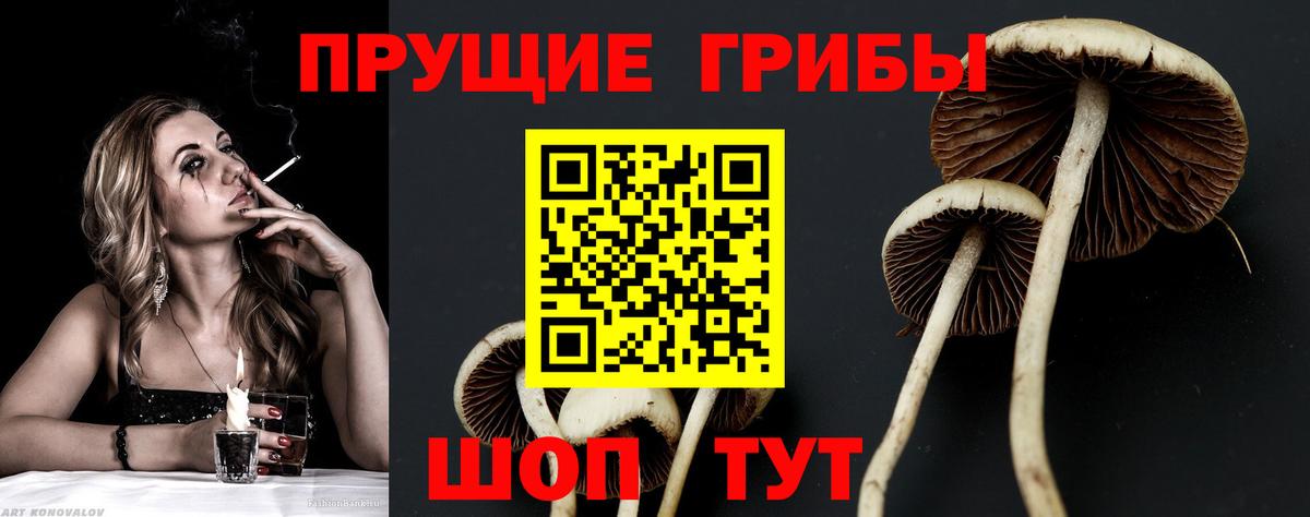 Галлюциногенные грибы ЛСД Уссурийск